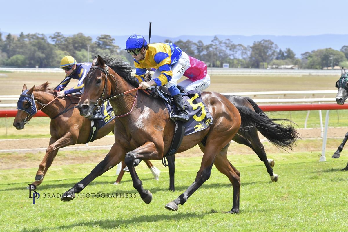 Hard Pick claims home track win