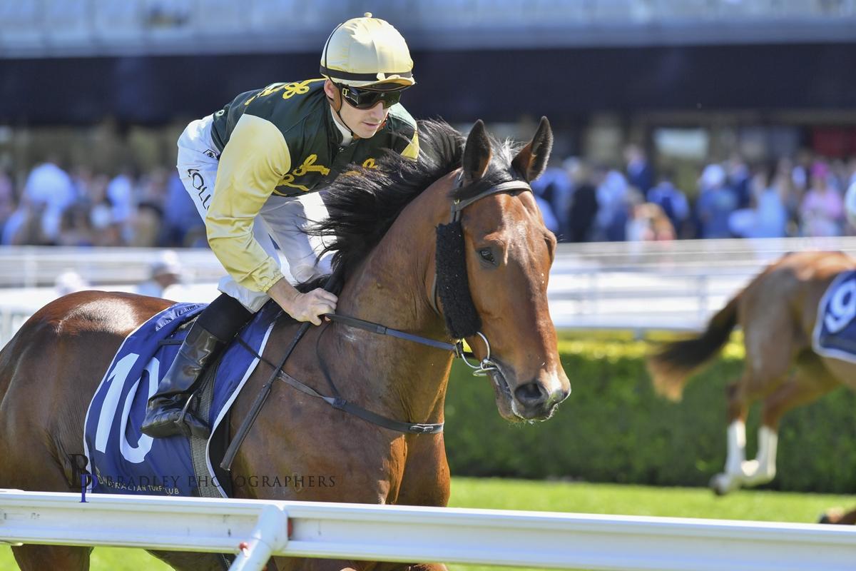 Strait Acer scores a hat-trick