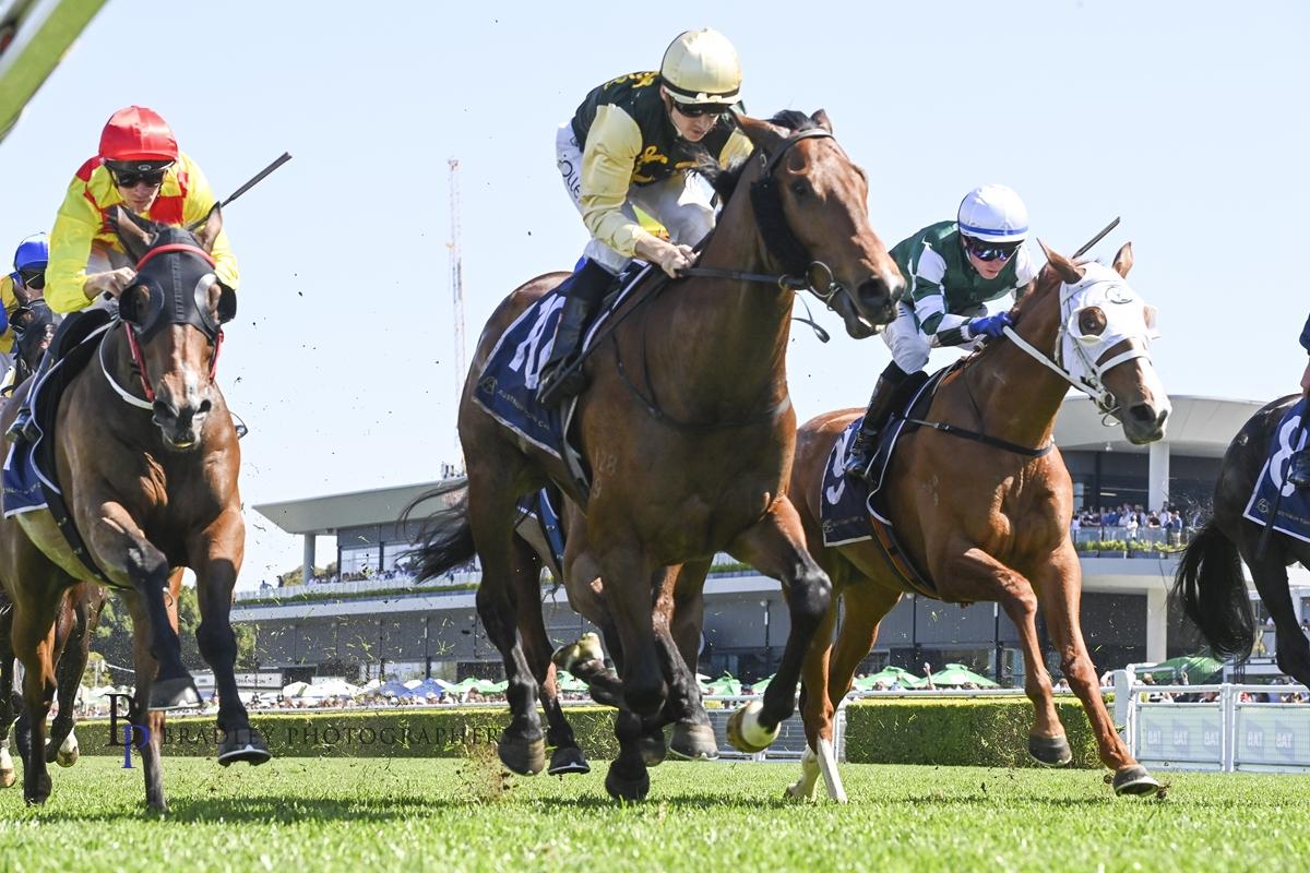 Strait Acer back after short break